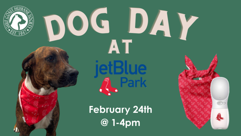 Dog Day at JetBlue Park hosted by Red Sox, Gulf Coast Humane Society